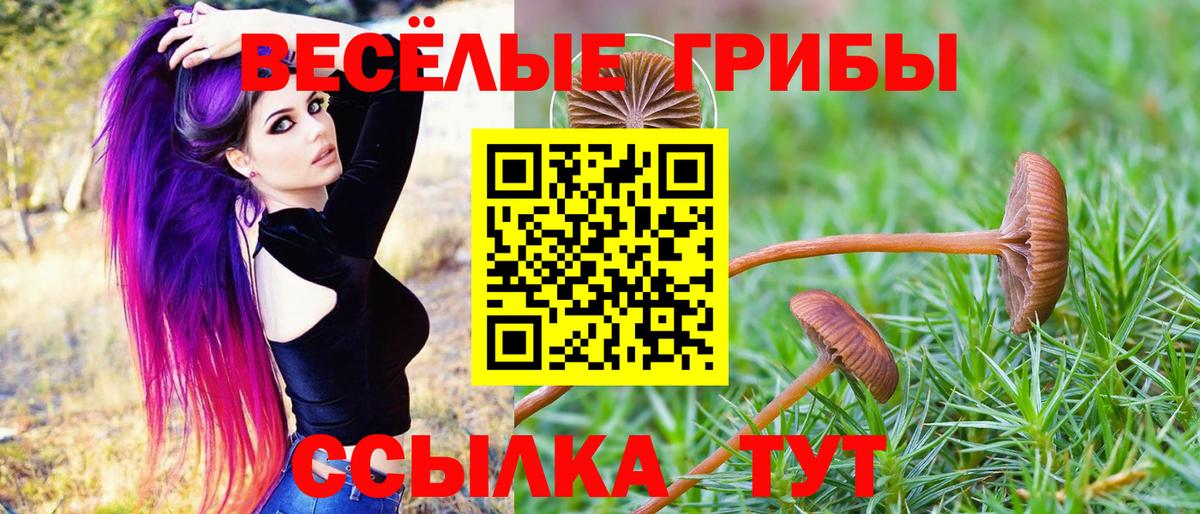 Псилоцибиновые грибы Magic Shrooms  Вход с VPN  Галлюциногенные грибы Magic Shrooms  Краснознаменск 